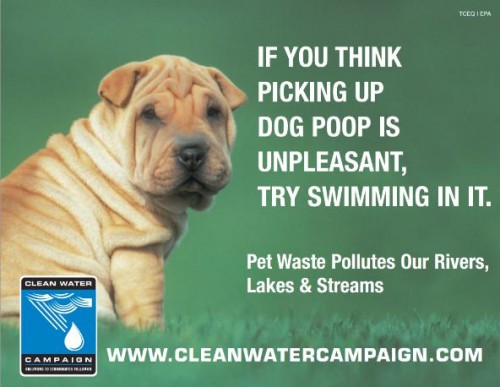 petewaste poster petewaste poster